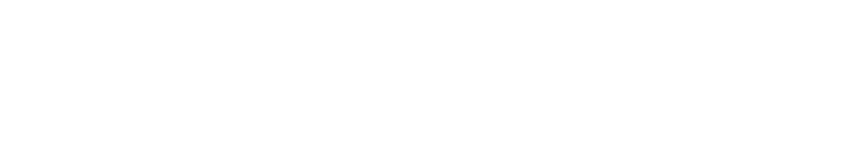 Logo-Deusing_ws